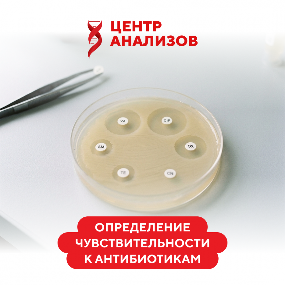 Определение чувствительности к антибиотикам
