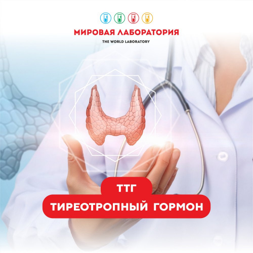 ТТГ (тиреотропный гормон)