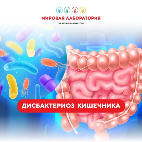 Дисбактериоз кишечника