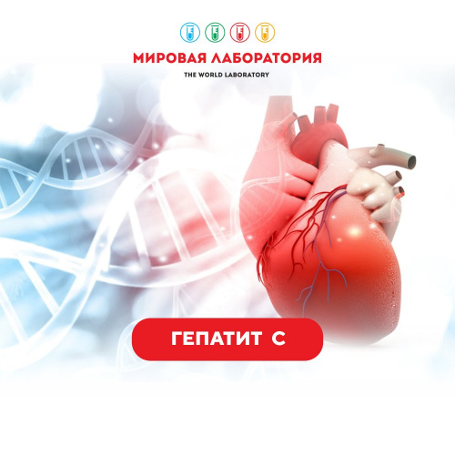 Гепатит С (АНТИ – HCV) (суммарные антитела) (ИФА)